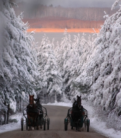 vintervybacke 070124-5